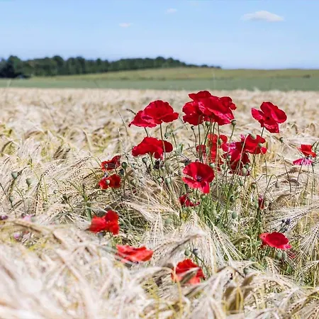 8550-grenaa-betinavej-16 *